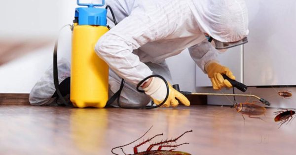 Fumigation-and-Pest-Control_34