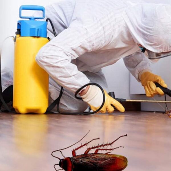 Fumigation-and-Pest-Control_34 Fumigation-and-Pest-Control_34